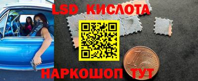прущие грибы Конаково