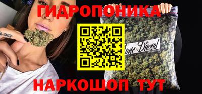 прущие грибы Конаково