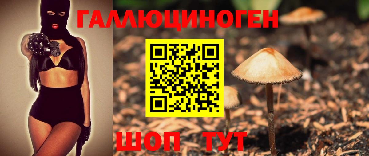 Галлюциногенные грибы мухоморы  Вход с VPN  Кузнецк 